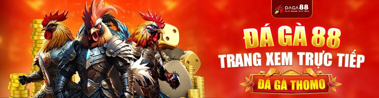 Tin tức rikvip apk mới nhất